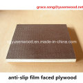 Film Faced Plywood / Marine Plywood /Shuttering Plywood